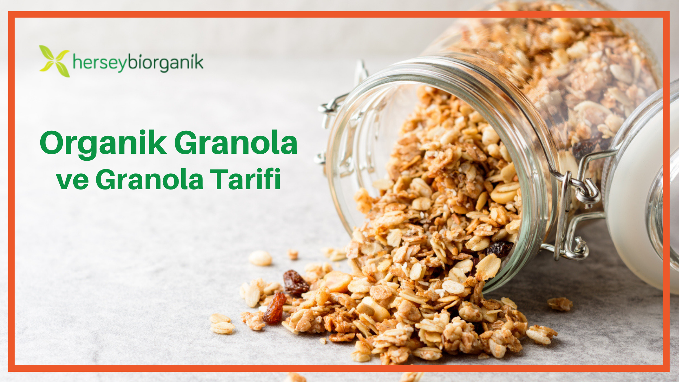 organik granola