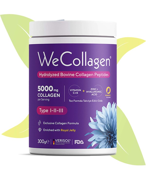 WeCollagen Tip 1-2-3 Toz Kolajen 300gr